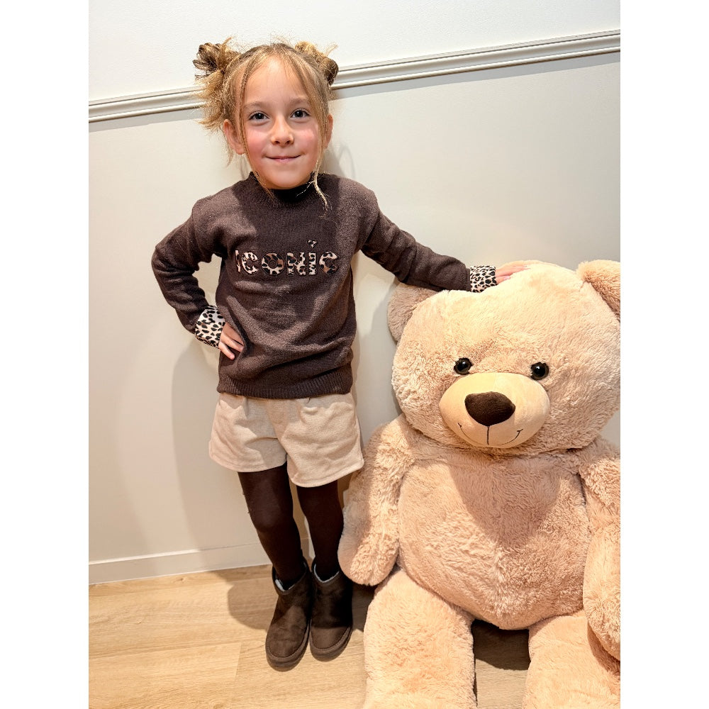 Pull Iconic Marron - Marron