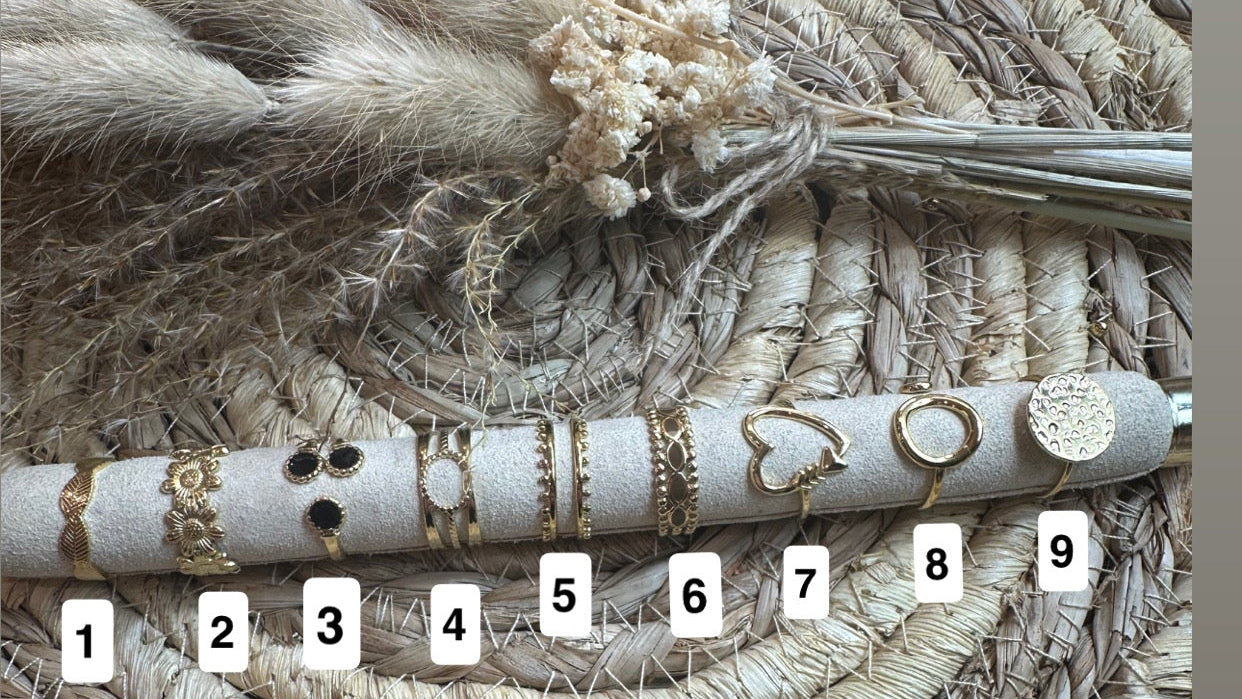 Bague (Acier Inoxydable)